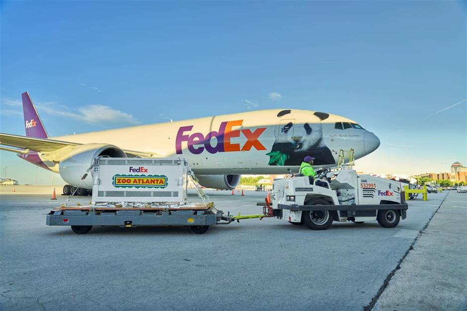 Giant Pandas Ping Ping and Fu Shuang Arrive at Zoo Atlanta for 10-Year Stay