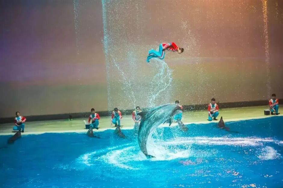 Big Guide to This National Day Holiday (Part I): Exhibitions, Communities and Festivals
