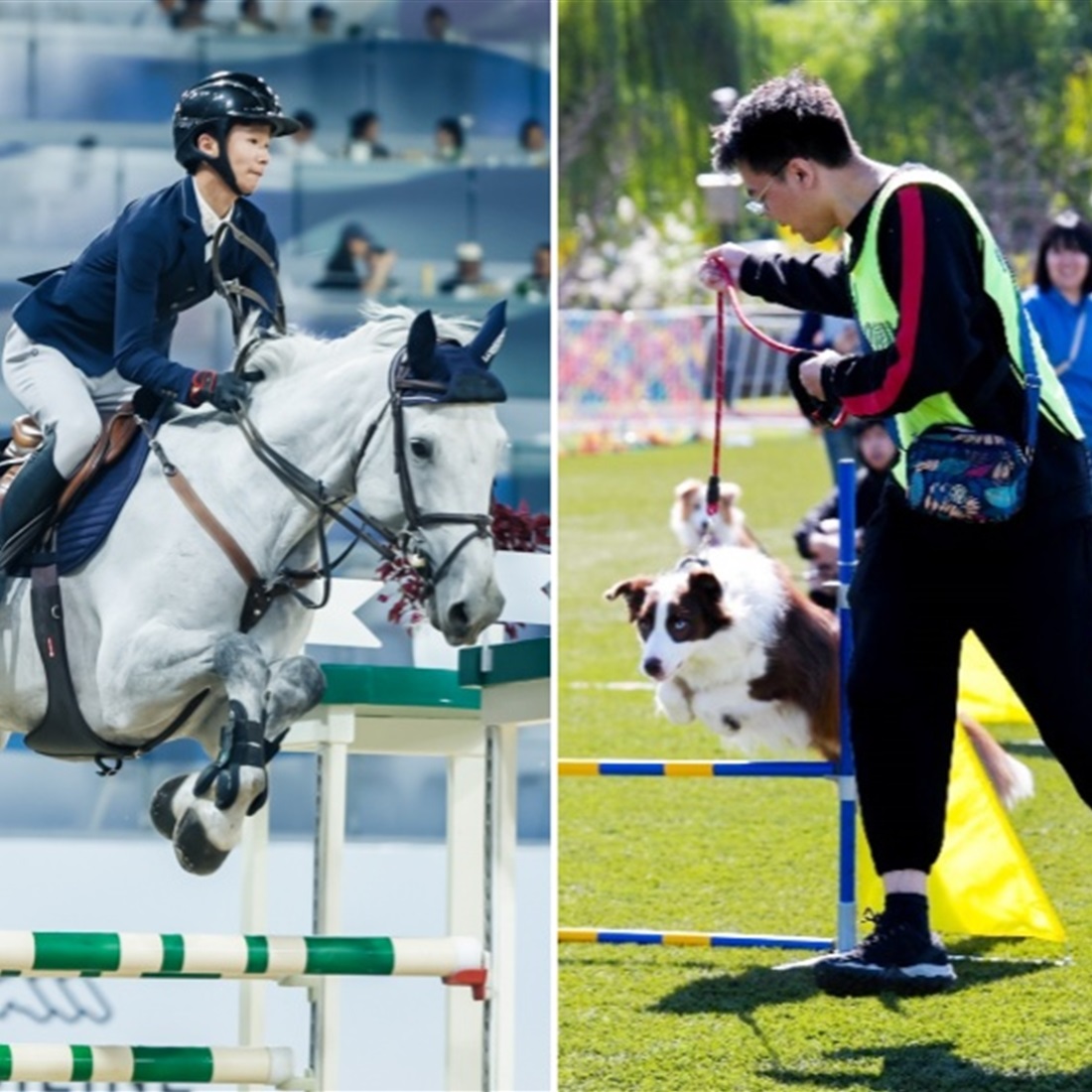 Shanghai Sports Lovers' Guide to the 2026 National Day Holiday