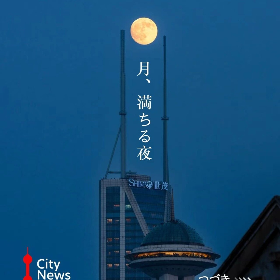 あの夜の月は、君を見つめているだろうか