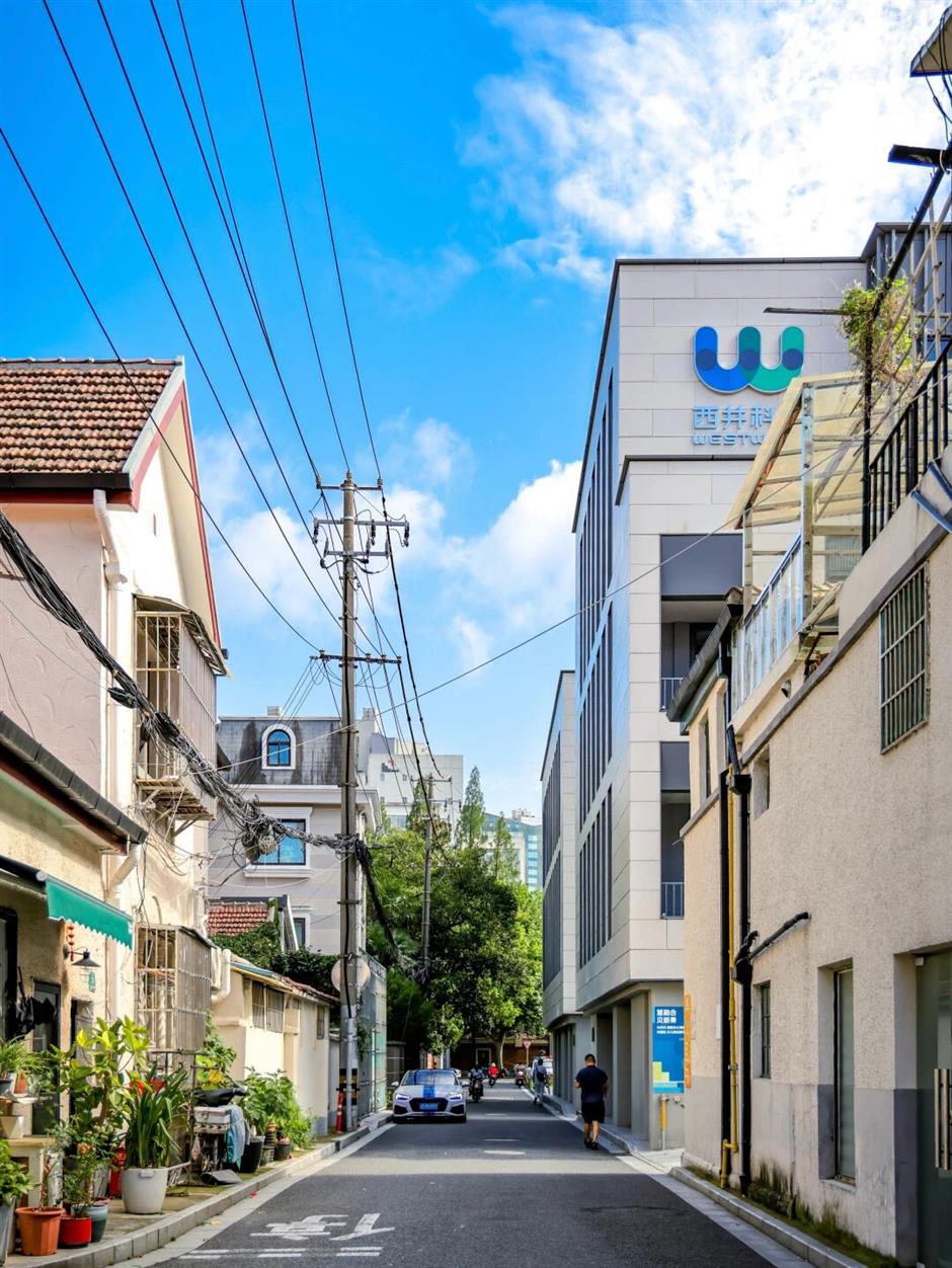 上海3条私藏散步路线,人少景美