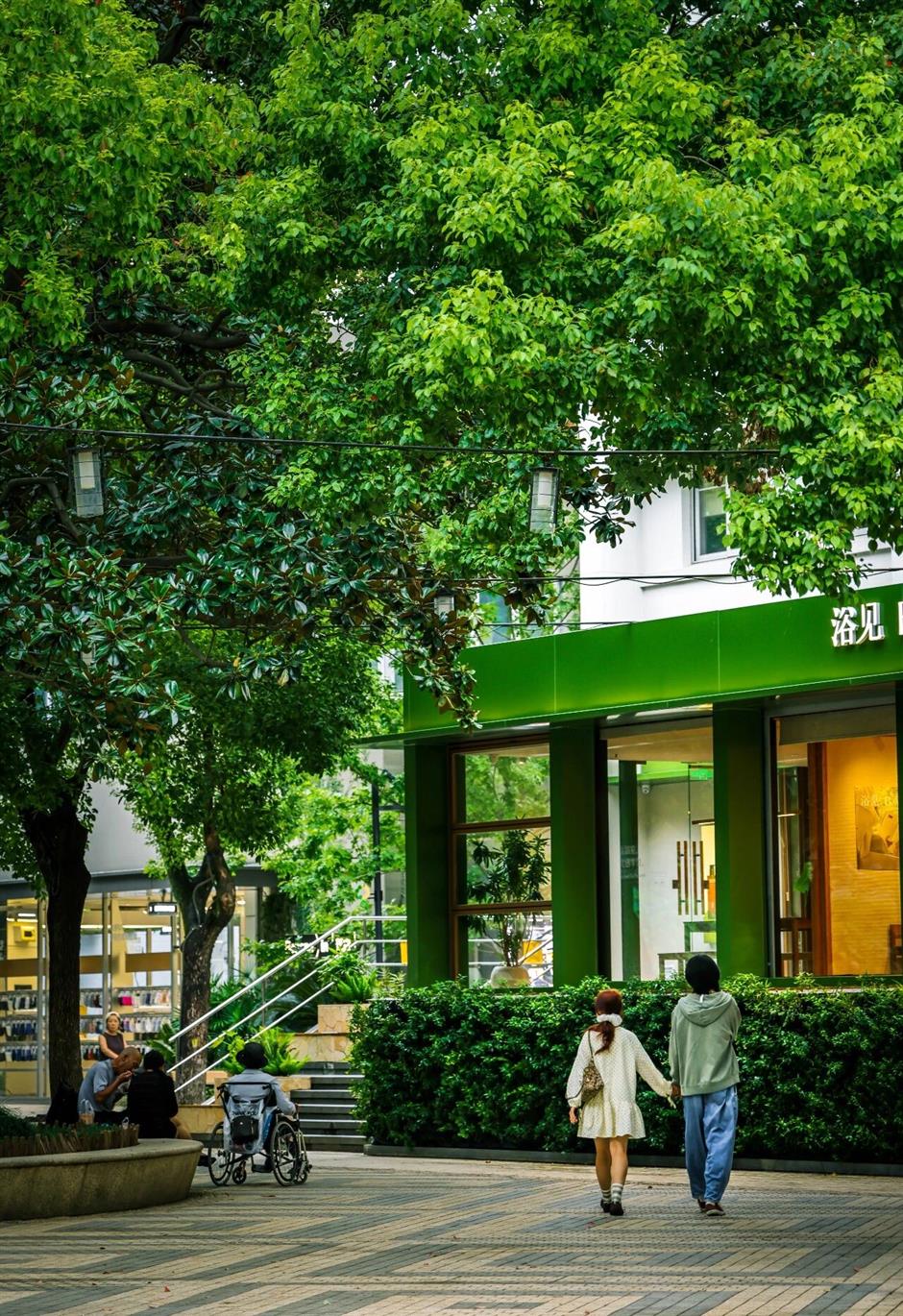 上海3条私藏散步路线,人少景美