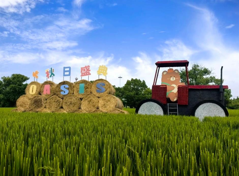 上海郊野多种玩法上新!好玩又出片