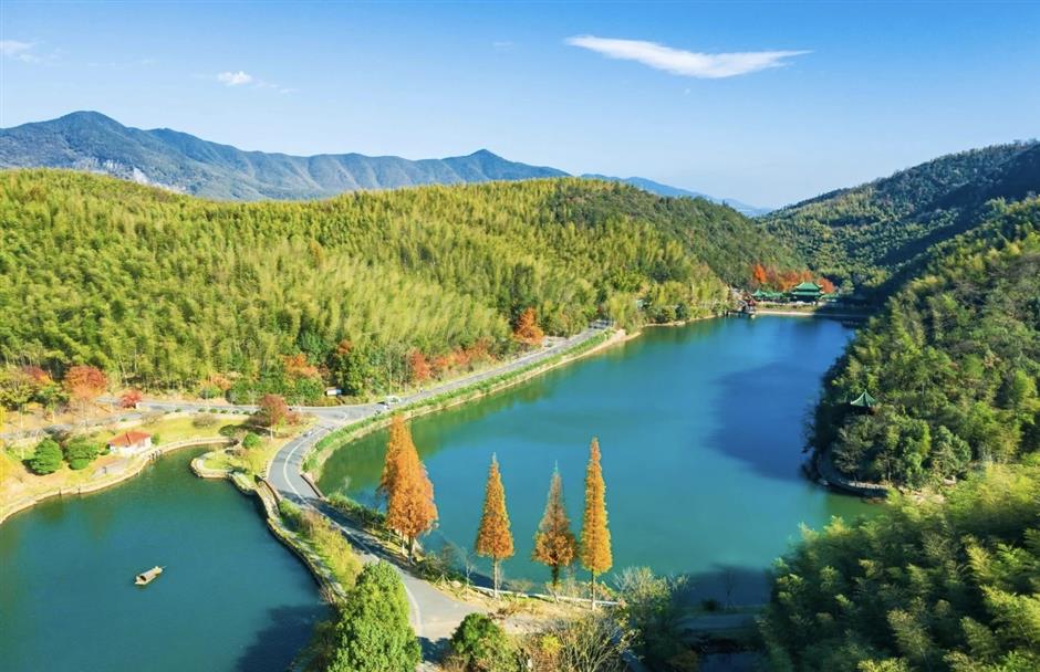 一节两季绘就夏秋城市文旅盛宴 文商旅体展融合激活消费新活力——2026年第37届上海旅游节综述