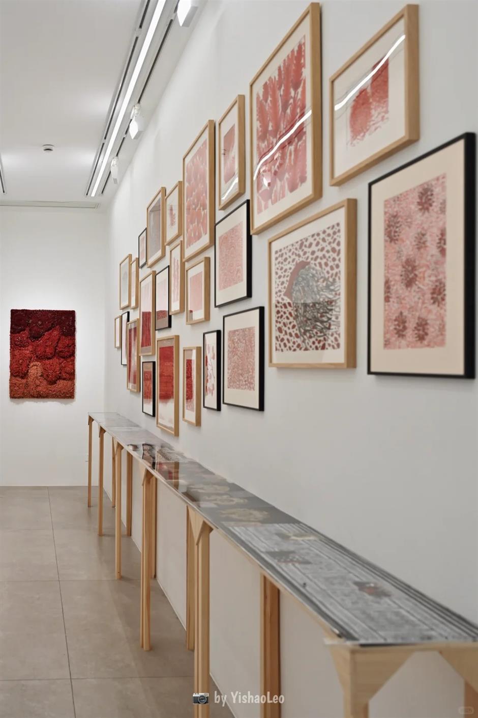 New Shanghai Exhibition Explores a World Under the Sun