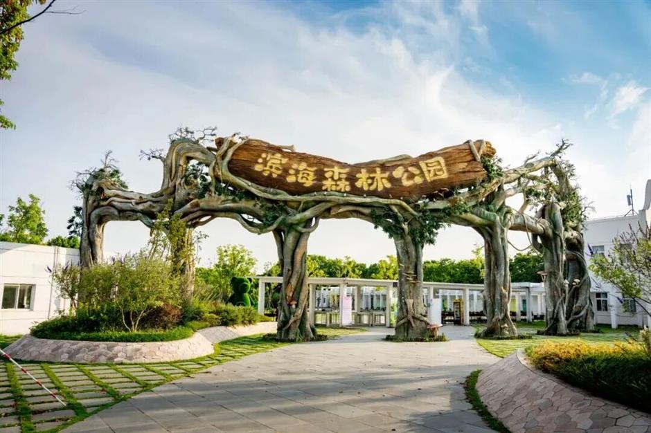 不必出远门,在临港,就藏着一片
