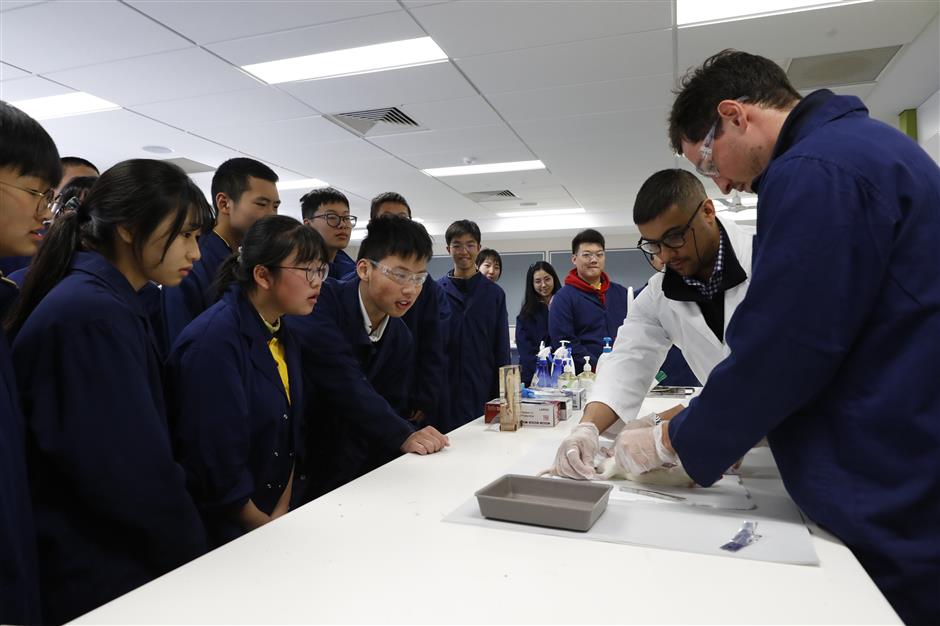 Bridging Cultures Through Music: Ten Years of Sustained Sino-Australian Educational and Youth Exchanges