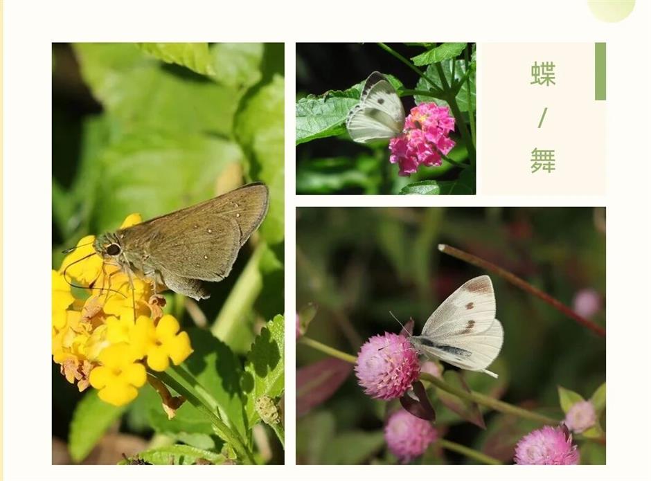 各类