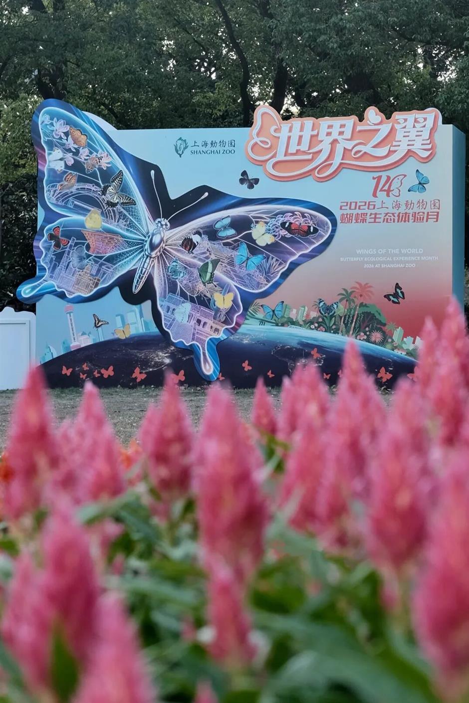 各类