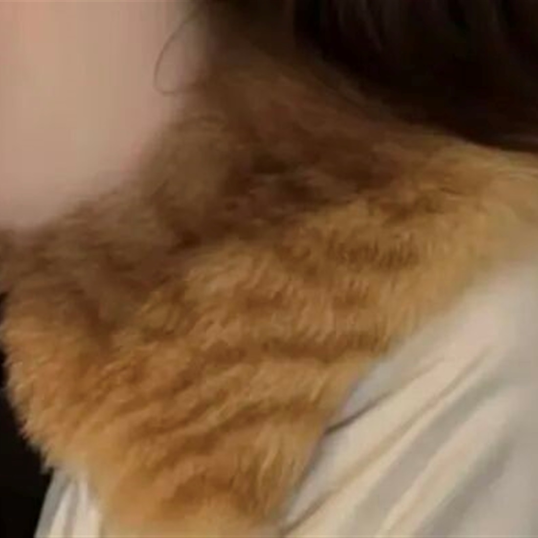 Taobao Store Pulls Listing After Cat Fur Backlash, Blames Factory