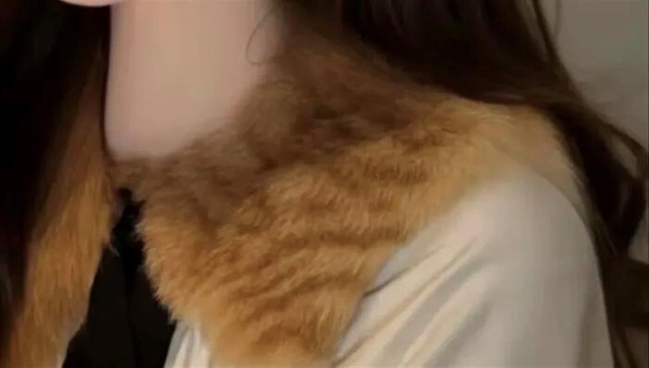 Taobao Store Pulls Listing After Cat Fur Backlash, Blames Factory