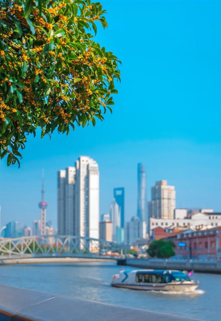 上海最香的一周来了!