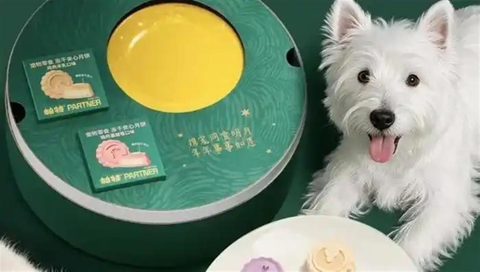 Pampering Pets Is a Big Industry in China, But It's Not Indulging the Bottom Line