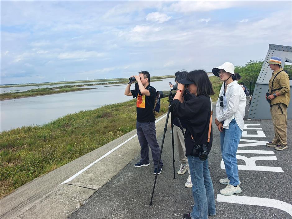 Chongming Holds Bird-Watching Event at Dongtan Reserve