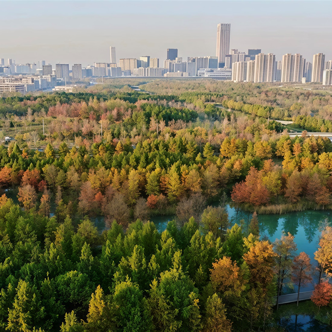'Shanghai's Altay' Opens to Public, Revealing Vast Water Forest