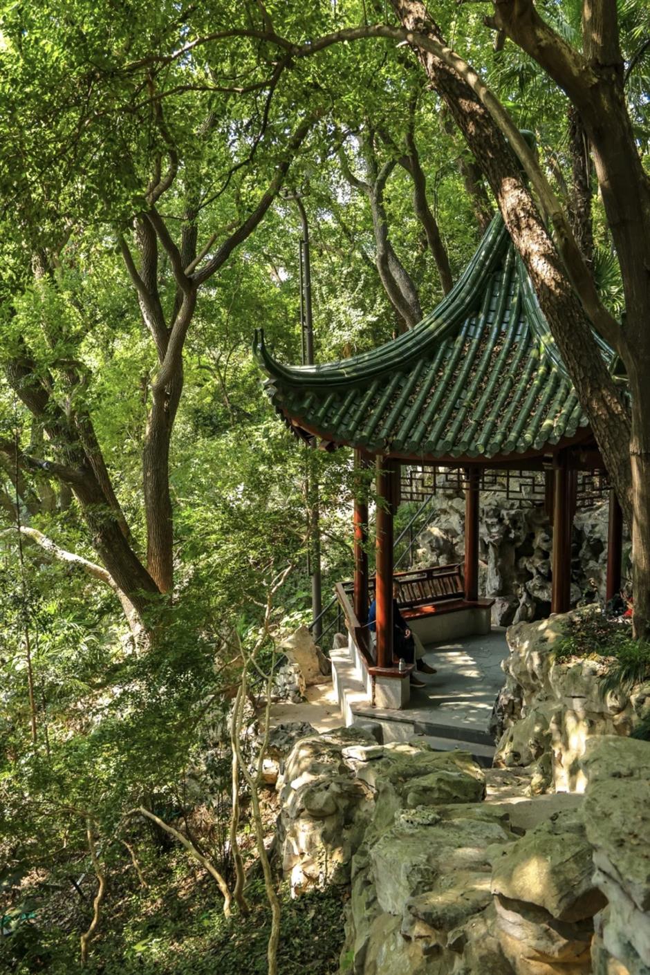 免费开放!上海市区规模最大山水公园焕新回归!