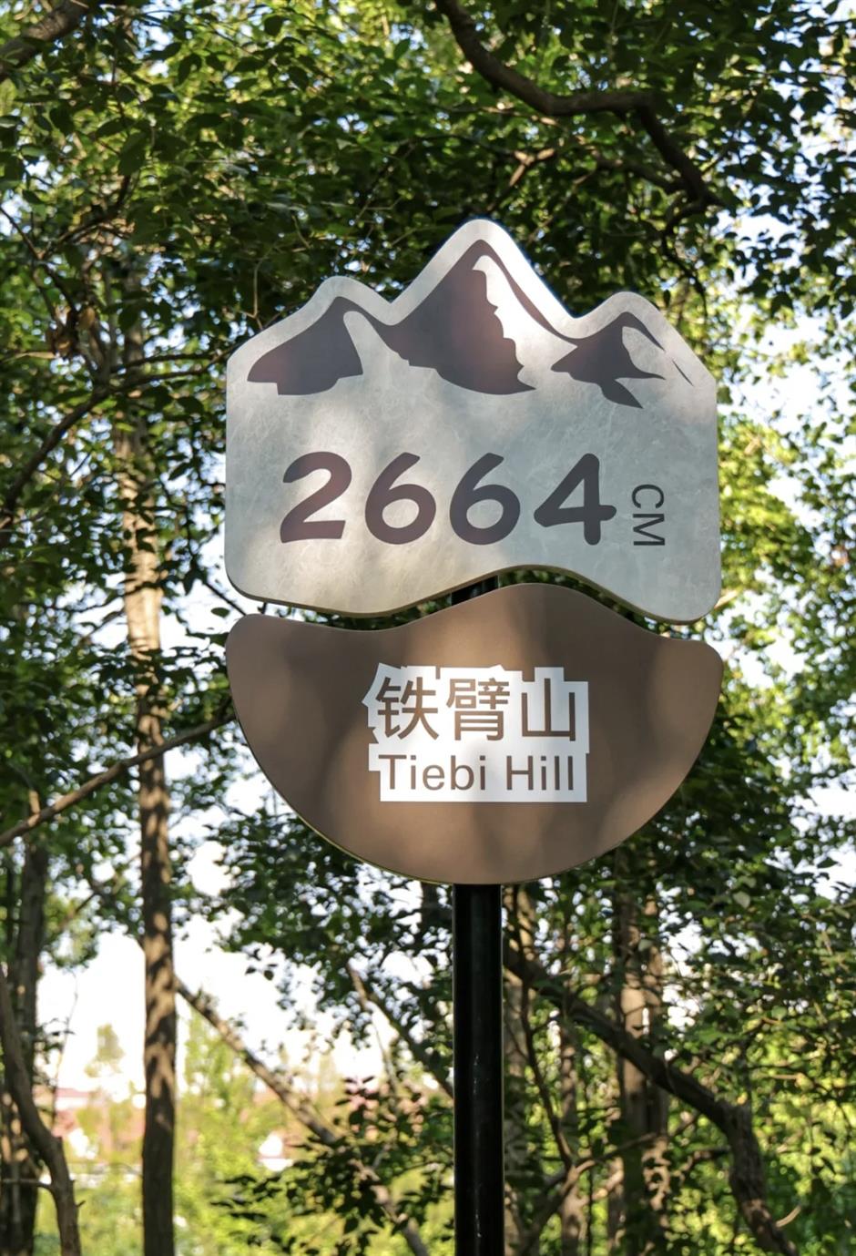 免费开放!上海市区规模最大山水公园焕新回归!