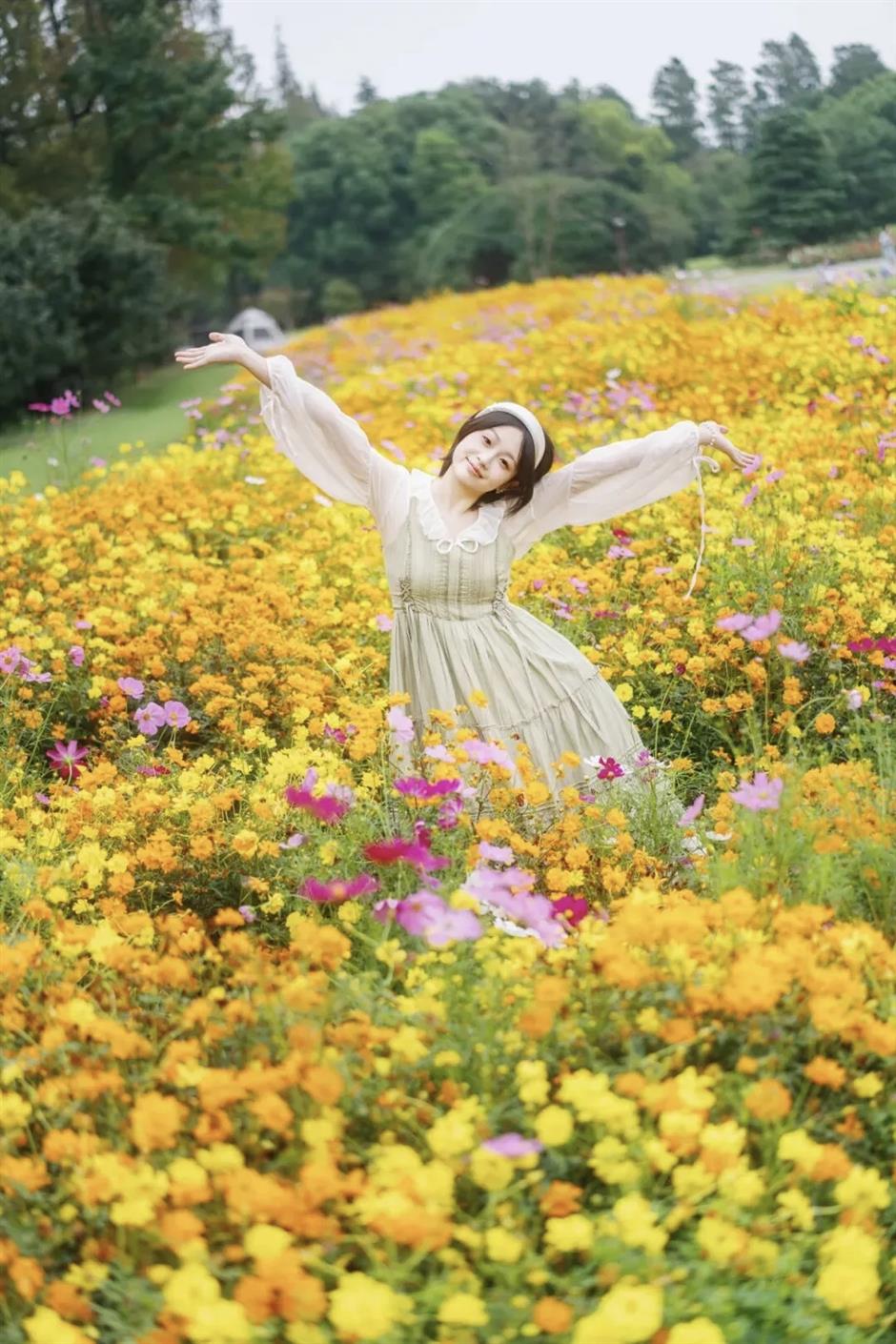 上海这些地方的花海,美成了莫奈油画!