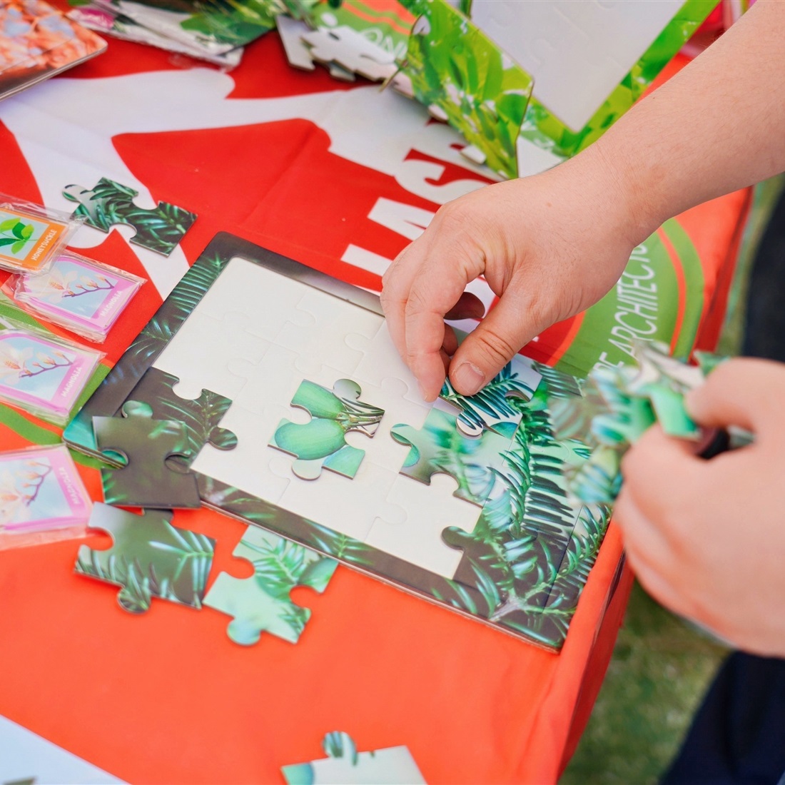 City Science Exploration Routes Unveiled at Nature Conservation Festival