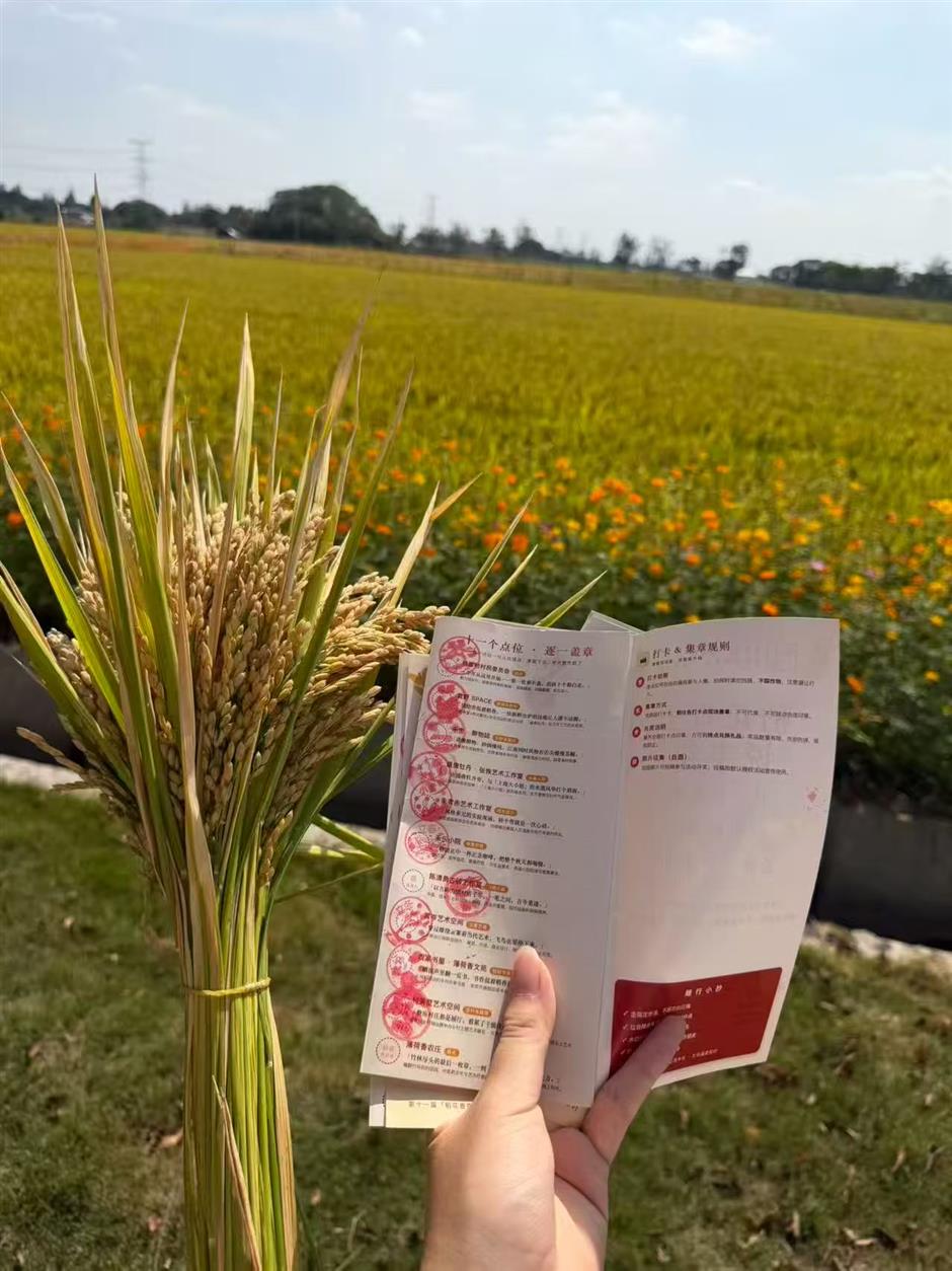 Rice Fields, Herbal Wellness and Art Therapy Create Autumn Getaway in Zhujiajiao