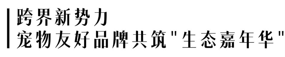 第七届上海宠物时装周即将登陆上海国际时尚中心