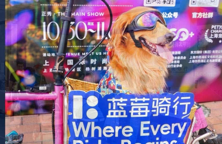 第七届上海宠物时装周即将登陆上海国际时尚中心