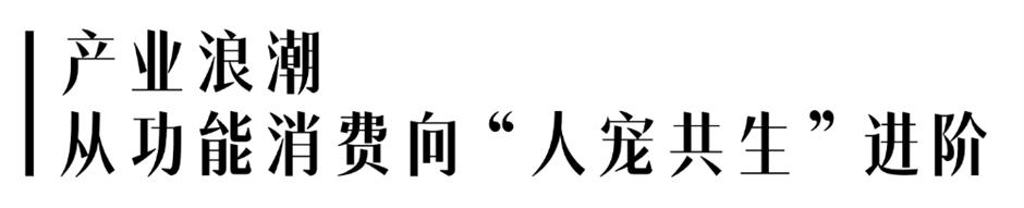 第七届上海宠物时装周即将登陆上海国际时尚中心
