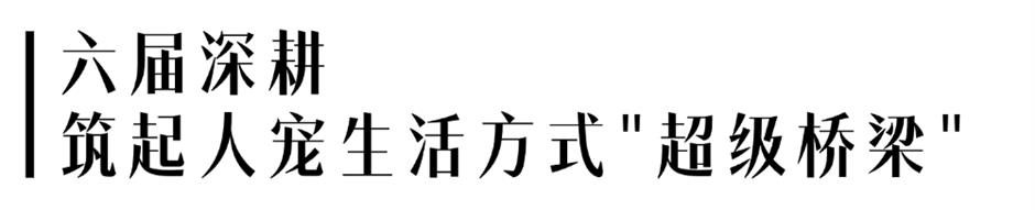 第七届上海宠物时装周即将登陆上海国际时尚中心