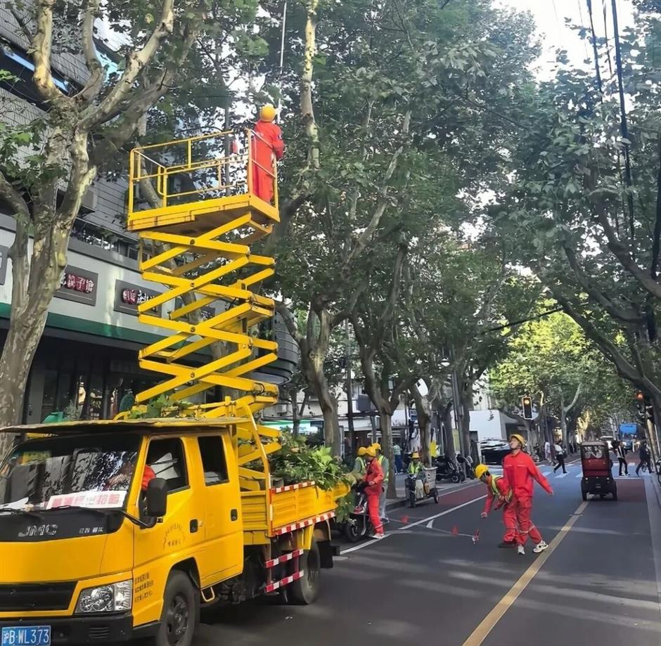 [Weather] Typhoon Champi Closes Shanghai Attractions, Disrupts Weekend Events