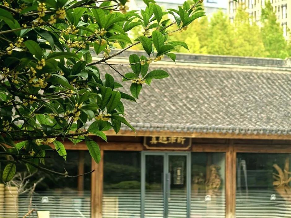 这个秋天,在嘉定必做的几件小事