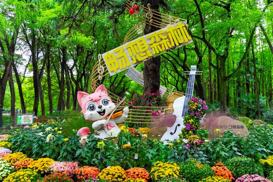 刷爆朋友圈的