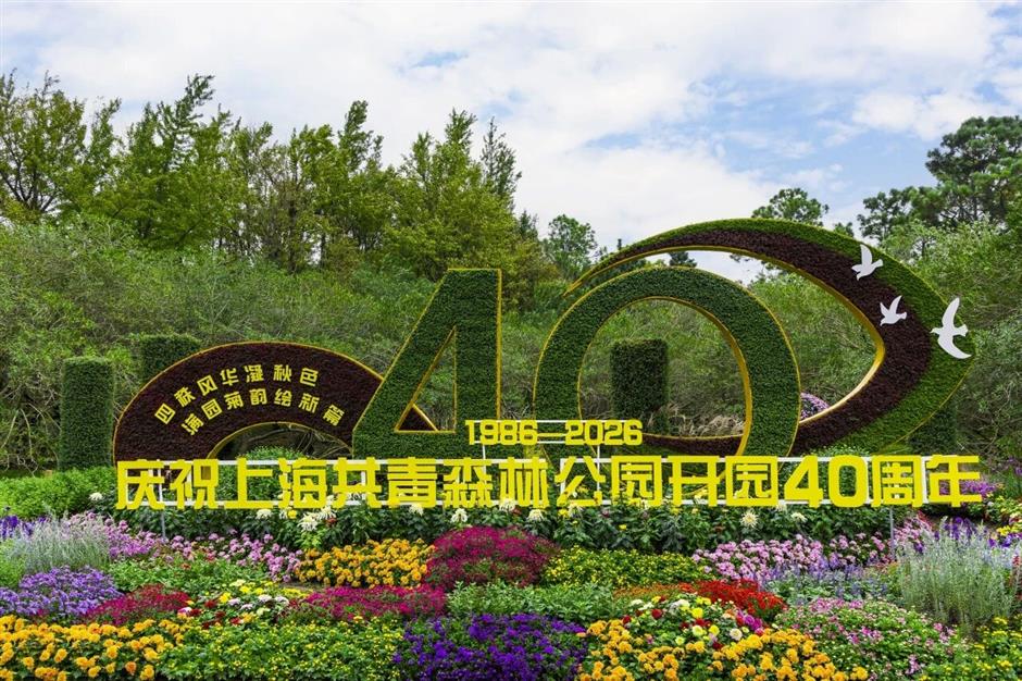 刷爆朋友圈的