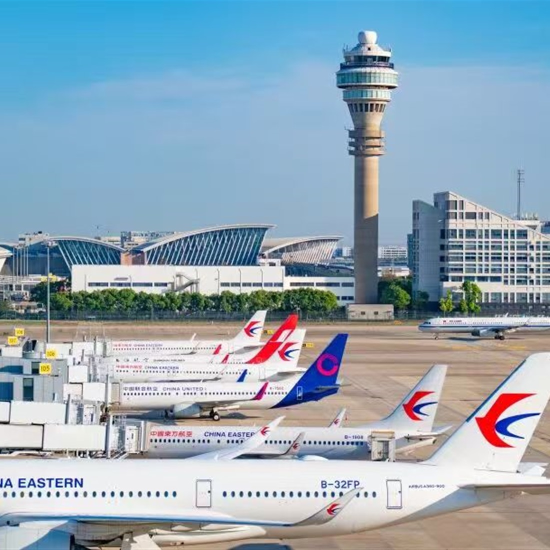 [SH Transit] New Routes and More Flights: Shanghai's Winter Travel Update