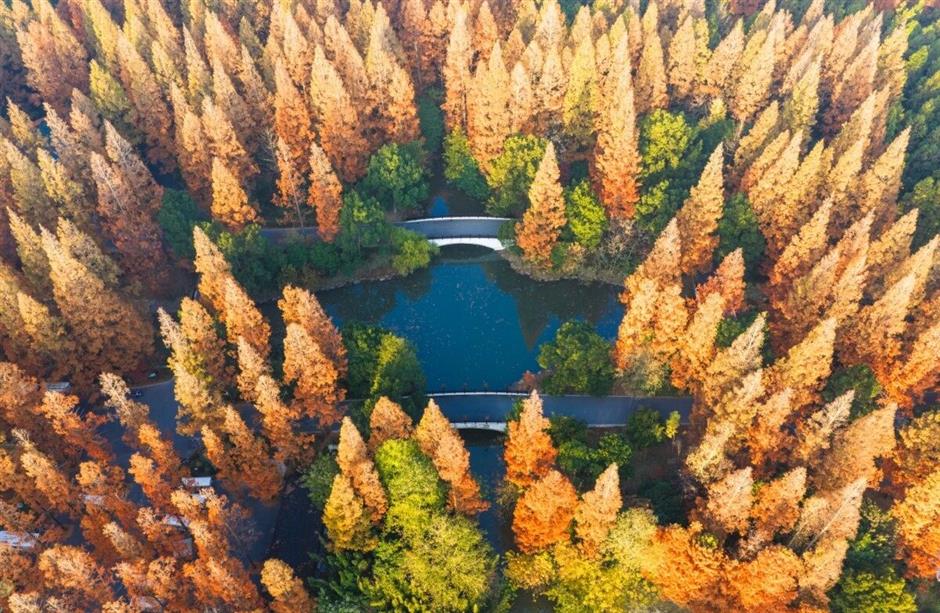 别错过!这个国家森林公园即将迎来颜值巅峰