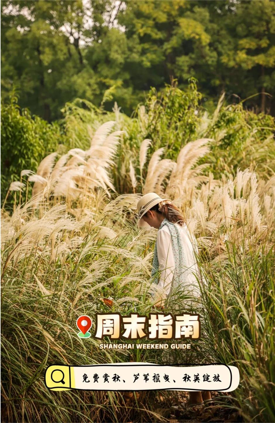 市中心这个公园,秋日油画上线!