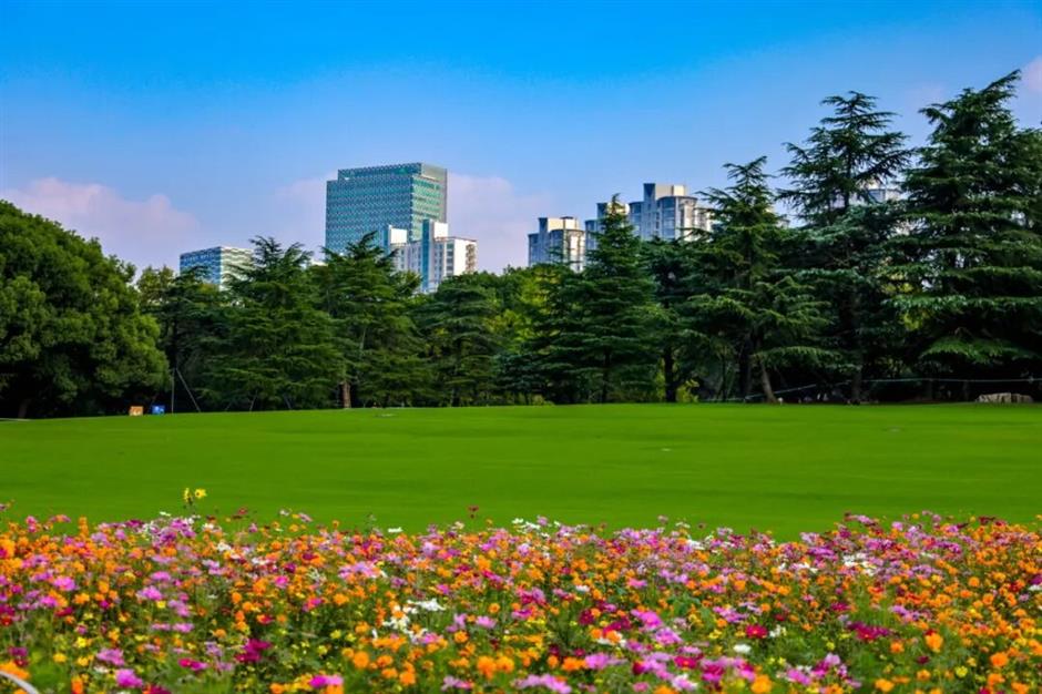 市中心这个公园,秋日油画上线!