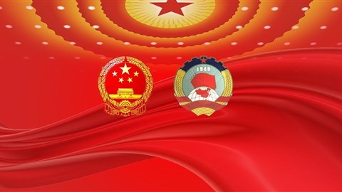 Shine Beyond A Single Story